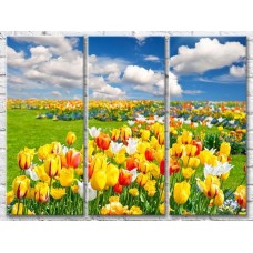 Картина Gallerix Fields of multicolored tulips against the sky with clouds (500535)