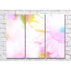 Картина Gallerix Transparent background with gerbera flower (500539)