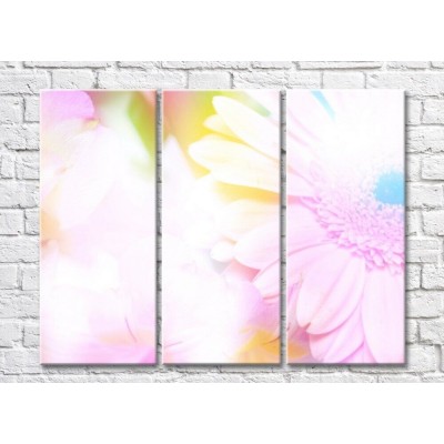 Картина Gallerix Transparent background with gerbera flower (500539)