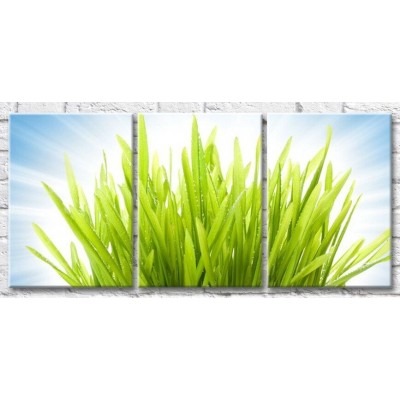 Pictură Gallerix Bunch of green grass with sunbeams (500540)