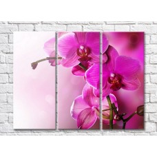 Pictură Gallerix Lush branch of pink orchid (500543)