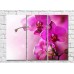 Pictură Gallerix Lush branch of pink orchid (500543)