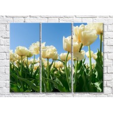 Pictură Gallerix Lush cream tulip flowers (500545)