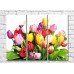 Pictură Gallerix Lush bouquet of colorful tulips (500548)