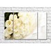 Pictură Gallerix Lush bouquet of roses on white silk (500551)