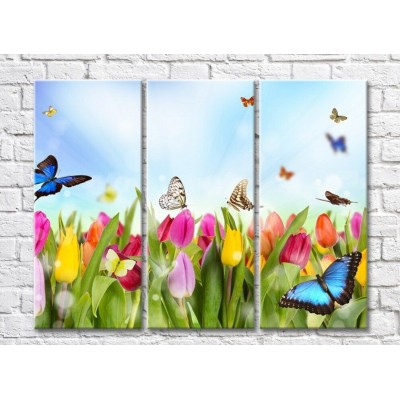 Pictură Gallerix Multicolored field of tulips and butterflies (500556)