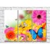 Pictură Gallerix Multicolored gerberas and butterflies (500559)