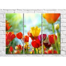 Картина Gallerix Multicolored tulips in the sun (500561)