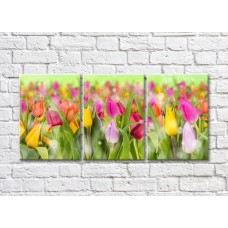 Картина Gallerix Multicolored tulips on a green background (500562)