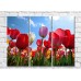 Картина Gallerix Multicolored tulips against the sky (500563)