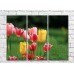 Картина Gallerix Multicolored tulips in a flower bed (500564)