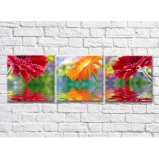 Картина Gallerix Multi-colored gerbera flowers above the water (500565)