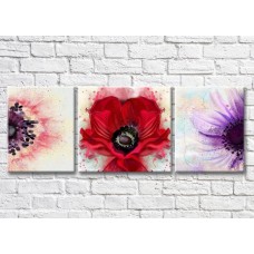 Картина Gallerix Multicolored poppies (3572583)