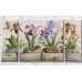 Картина Gallerix Different types of orchids (3572584)