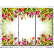 Картина Gallerix Frame of multicolored tulips (500568)