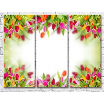 Картина Gallerix Frame of multicolored tulips (500568)