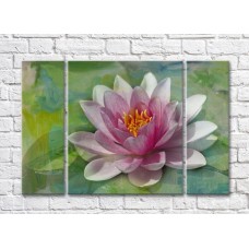 Картина Gallerix Pink water lily on an abstract green background (500570)