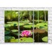 Картина Gallerix Pink water lily on a pond against a background of reeds (500573)