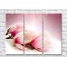 Картина Gallerix Pink magnolia on a white background (3448910)