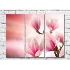 Картина Gallerix Pink magnolia on a pink background (3448911)