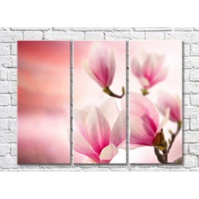 Картина Gallerix Pink magnolia on a pink background (3448911)