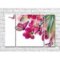 Картина Gallerix Pink orchid and colorful butterflies (500574)