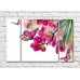 Картина Gallerix Pink orchid and colorful butterflies (500574)