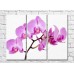 Pictură Gallerix Pink orchid on white background (500575)