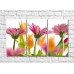 Картина Gallerix Pink gerberas and orange tulips on white background (500577)