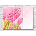 Pictură Gallerix Pink hyacinths on a light pink background (500579)