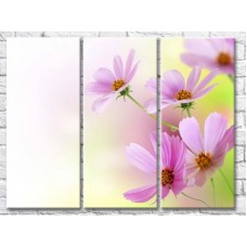 Pictură Gallerix Delicate pink flowers on light green background (500583)