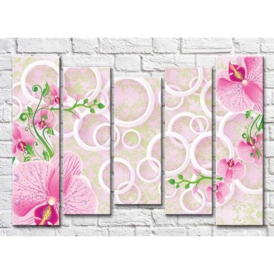 Картина Gallerix Pink orchids and white circles on a pink background (3551904)