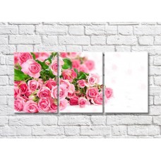 Pictură Gallerix Pink roses and green leaves on a white background (500586)