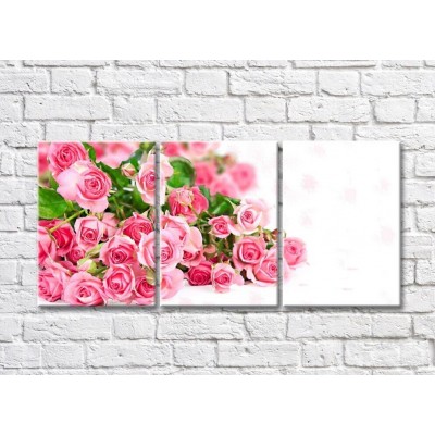 Pictură Gallerix Pink roses and green leaves on a white background (500586)