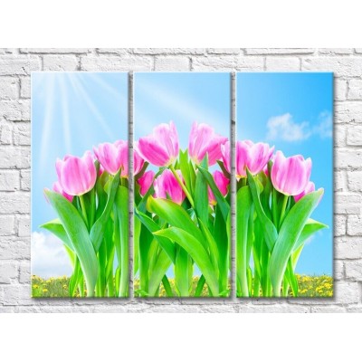 Картина Gallerix Pink tulips against a sunny sky (500590)