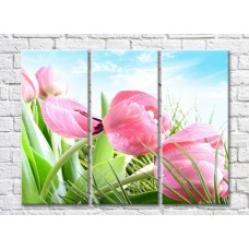 Картина Gallerix Pink tulips in the grass against the sky (500592)