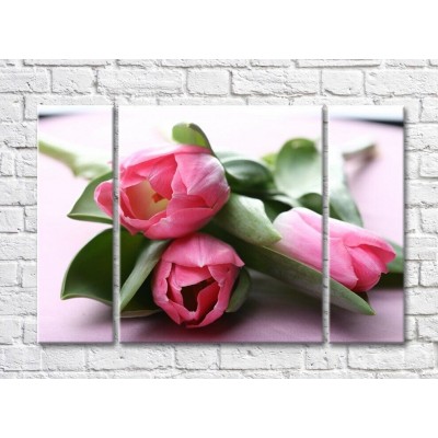 Картина Gallerix Pink flowers on tulip leaves (500594)