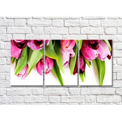 Картина Gallerix Pink tulip flowers and green leaves (500596)