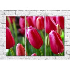 Картина Gallerix Pink tulip flowers on green leaves background (500597)