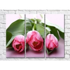 Картина Gallerix Pink tulip flowers on a background of leaves (500598)