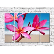 Картина Gallerix Pink plumeria flowers on the background of the coast (500600)