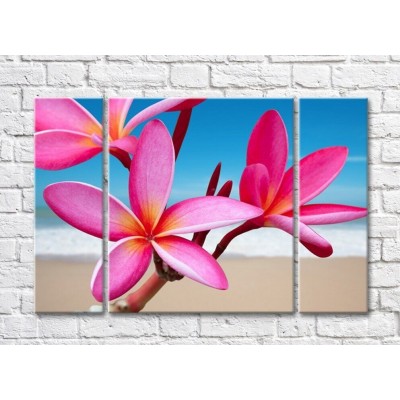 Картина Gallerix Pink plumeria flowers on the background of the coast (500600)