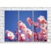 Картина Gallerix Pink sakura flowers against a blue sky (500601)