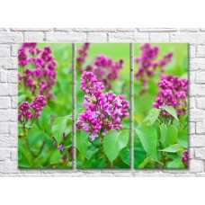 Картина Gallerix Pink lilac flowers on green leaves background (500602)