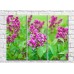 Pictură Gallerix Pink lilac flowers on green leaves background (500602)