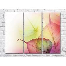 Картина Gallerix Pink transparent leaves (3448913)