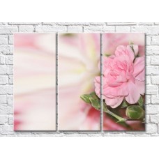 Картина Gallerix Pink peony flower and buds (500610)