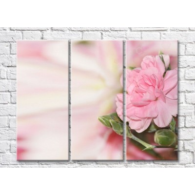 Картина Gallerix Pink peony flower and buds (500610)