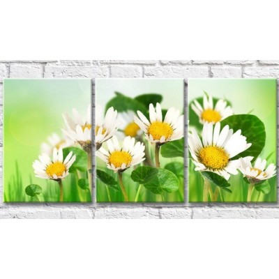 Картина Gallerix Chamomile lotus (500615)