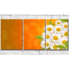 Картина Gallerix Chamomile and green leaves on an orange background (500618)